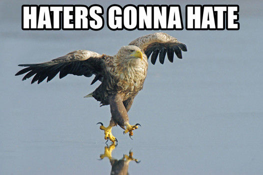 Science May Have Just Discovered Why Haters Gonna Hate