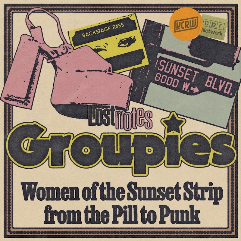 Dylan Tupper Rupert & Jessica Hopper on Groupies : The Aquarium Drunkard Interview : Aquarium Drunkard